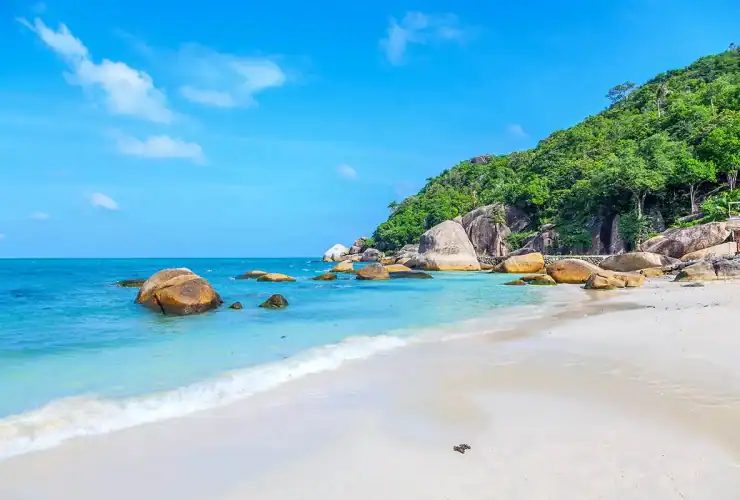 Séjour linguistique en Thaïlande et découverte de Ko Samui : l'alliance parfaite entre apprentissage de l'anglais et détente paradisiaque avec Sherwood School.
