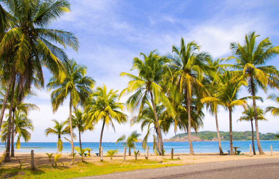 Apprendre l'espagnol en immersion au Costa Rica : séjour linguistique entre nature sauvage et plages idylliques avec Sherwood School.